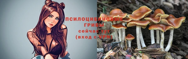 тгк Сафоново