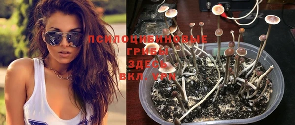 тгк Сафоново