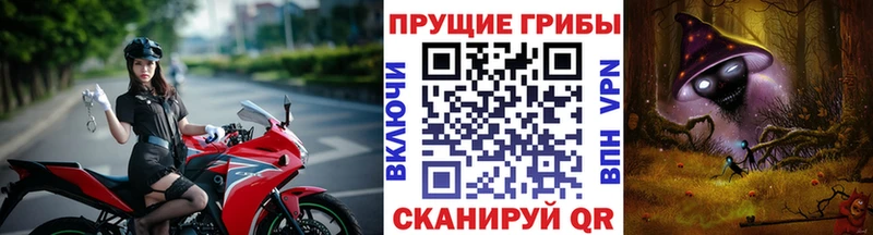 Псилоцибиновые грибы GOLDEN TEACHER  Тара 