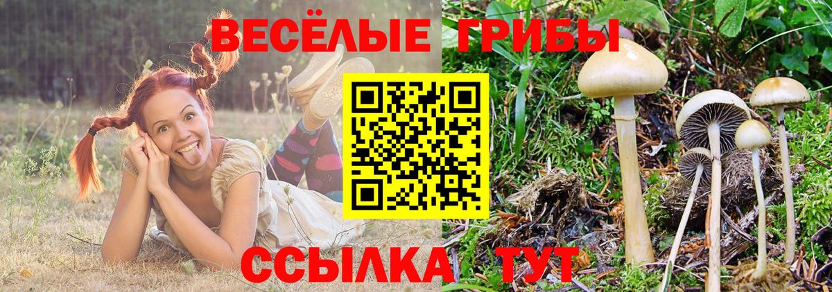 Псилоцибиновые грибы MAGIC MUSHROOMS Тара