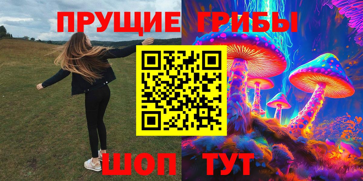 Тара  Галлюциногенные грибы Psilocybine cubensis  Вход с VPN 